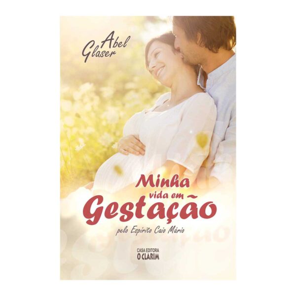 Minha Vida em Gestação