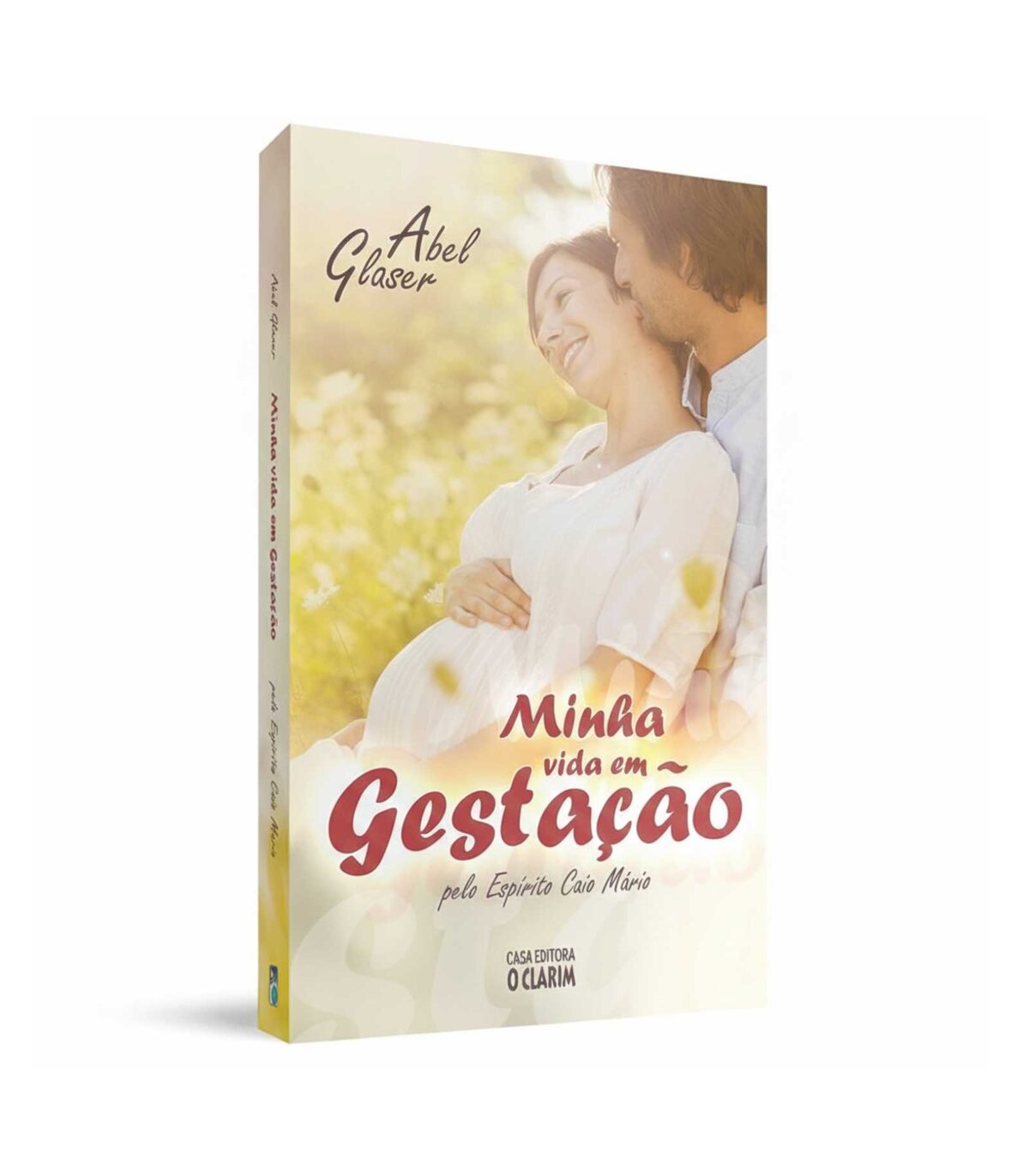 Minha Vida em Gestação - Imagem 3